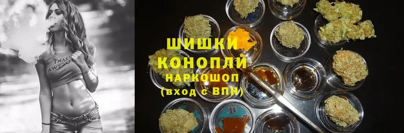 магазин    Петрозаводск  Марихуана OG Kush 